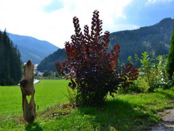 Blick nach Filzmoos