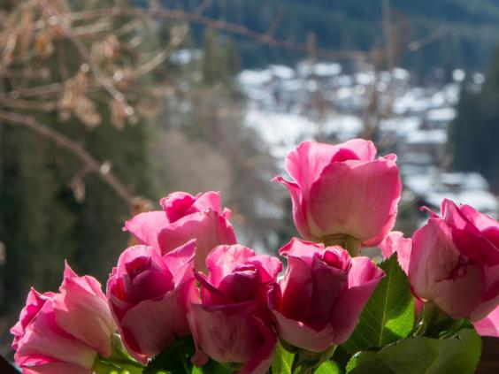 Blumen am Balkon - im Hintergrund der Blick ins Dorf Filzmoos